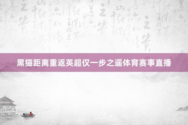 黑猫距离重返英超仅一步之遥体育赛事直播