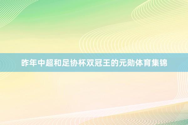 昨年中超和足协杯双冠王的元勋体育集锦