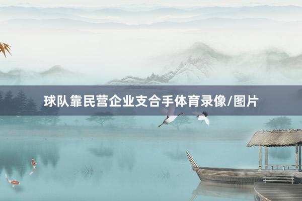 球队靠民营企业支合手体育录像/图片