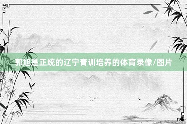 郭旭是正统的辽宁青训培养的体育录像/图片