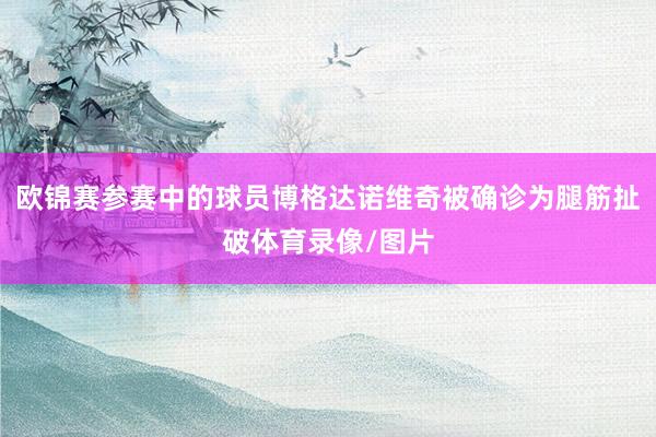 欧锦赛参赛中的球员博格达诺维奇被确诊为腿筋扯破体育录像/图片