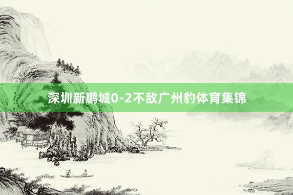 深圳新鹏城0-2不敌广州豹体育集锦
