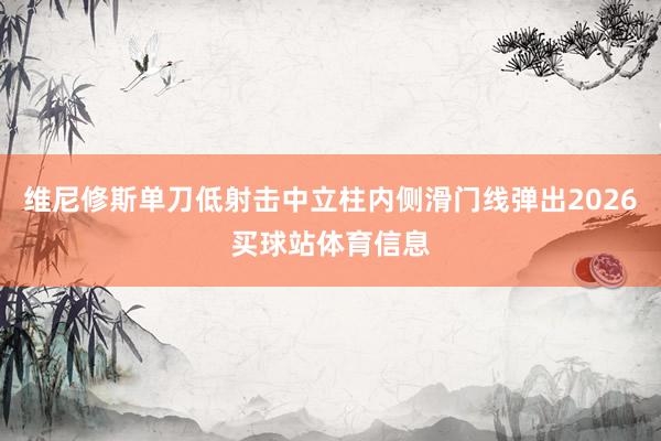维尼修斯单刀低射击中立柱内侧滑门线弹出2026买球站体育信息
