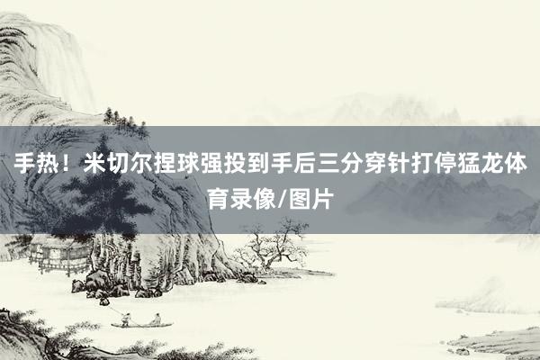 手热！米切尔捏球强投到手后三分穿针打停猛龙体育录像/图片