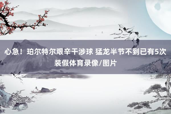 心急！珀尔特尔艰辛干涉球 猛龙半节不到已有5次装假体育录像/图片