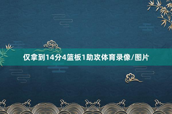 仅拿到14分4篮板1助攻体育录像/图片